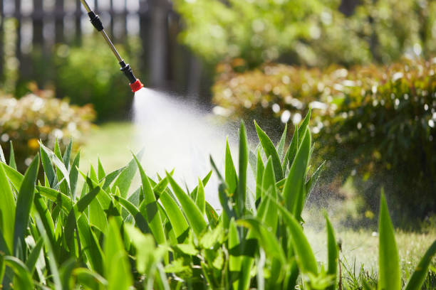 24/7 Emergency Mosquito Control experts in Waterville, OH