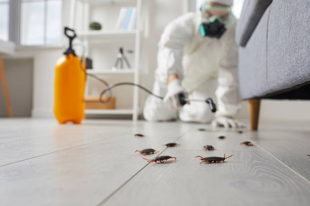 Trusted Termite Control service in Waterville, OH - Nex Pest Control