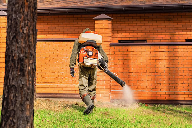 Trusted Emergency Pest Control service in Waterville, OH - Nex Pest Control